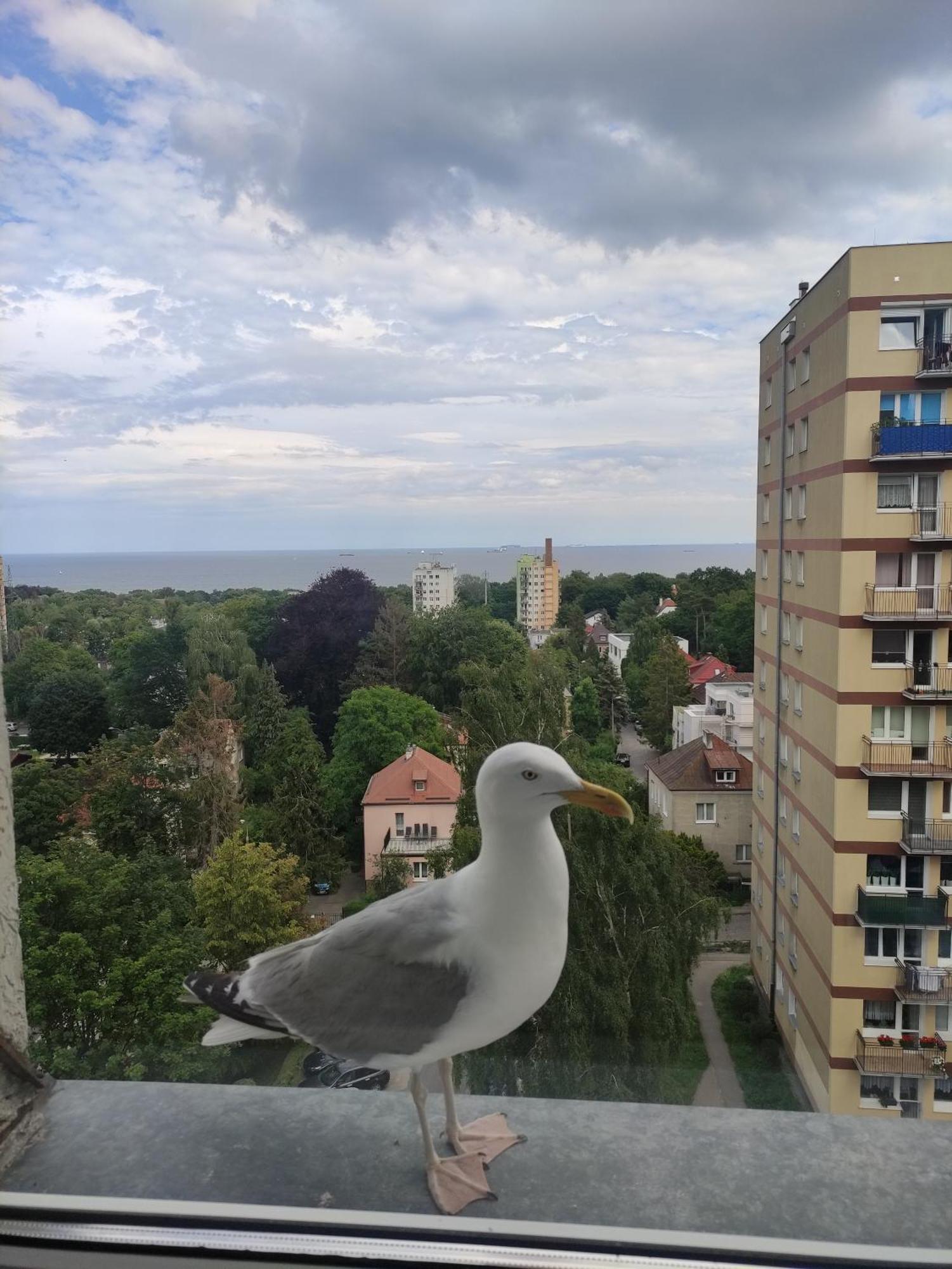 Apartament Widokowo Daire Sopot Dış mekan fotoğraf